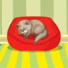 play Cat Room Decoration