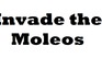play Invade The Moles