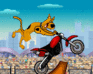 play Scoobydoo Stunts Bike