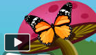 play Colorful Butterflies