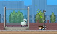 play Llama In Your Face