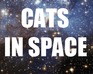 play Cats In Space