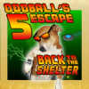 play Oddball'S Escape 5: Back To The Shelter