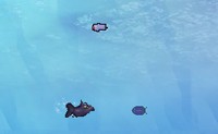 play Hungry Fish