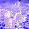 play Flying Swans In Water Slide Puzzle