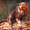 play Little Wolf Cub Slide Puzzle