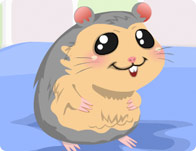 play Pet Hamster