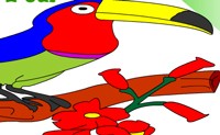 play Color A Bird