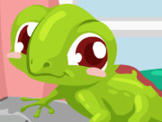 play Gecko Care