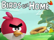 play Birds Get Home