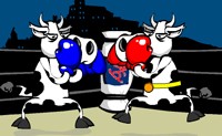 play Cow Fighter
