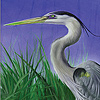 play Long Sea ​​Birds Puzzle