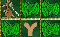 play Alpha-Zoo