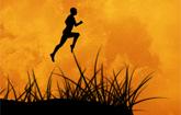 play Island Runner