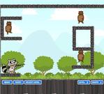 play Crazy Racoon Player Pack