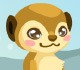 play Meerkat Care