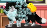play Paws To Beauty 2
