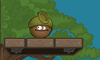 play Doctor Acorn