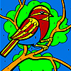 play Bird On A Tree Coloring