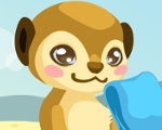 play Meerkat Care