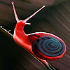 play Red Snail Puzzle
