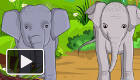 play Feeding Baby Elephants
