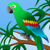 play Hidden Parrots