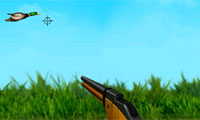 play The Duck Hunter
