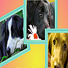 play Tired Dogs Puzzle