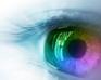 play Test Your Eye-Level