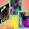 play Flower Garden And Butterflies Puzzle