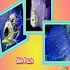play Interesting Fishes Puzzle