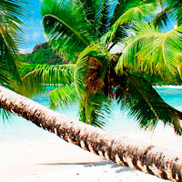 play Parts Of Picture Islands