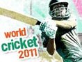 play World Cricket 2011