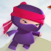 play Ninja Land