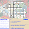 play Pollinator Puzzle