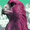 play Red Curious Hawk Puzzle