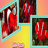 play Red Anemone Fishes Puzzle