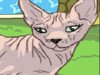 play Shpynx Cat