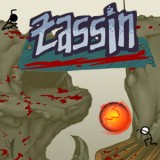 Zassin