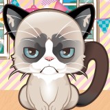 play Grumpy Kitty