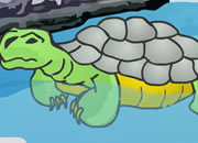 play Tortoise Escape