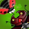 play Lady Battle