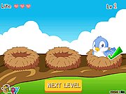 play Find The Bird