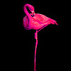 play Pink Flamingo Slide Puzzle