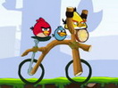 play Angry Birds Bike Revenge