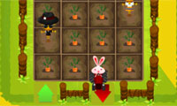 play Bunny On Farm