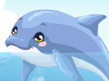 play Dolphin Care