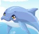 play Dolphin Care