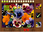 play Parts Of Picture:Flowers